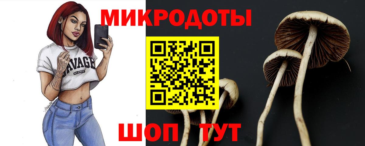Псилоцибиновые грибы GOLDEN TEACHER Дальнегорск